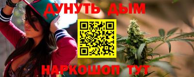 шишки Лесосибирск