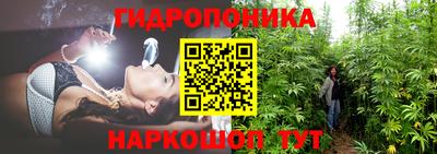 стафф Ливны
