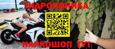 шишки Лесосибирск