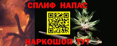 шишки Лесосибирск