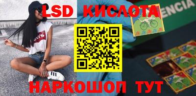 шишки Лесосибирск