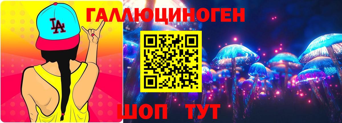 Гусев  Галлюциногенные грибы мицелий  Вход с VPN  Галлюциногенные грибы Cubensis 